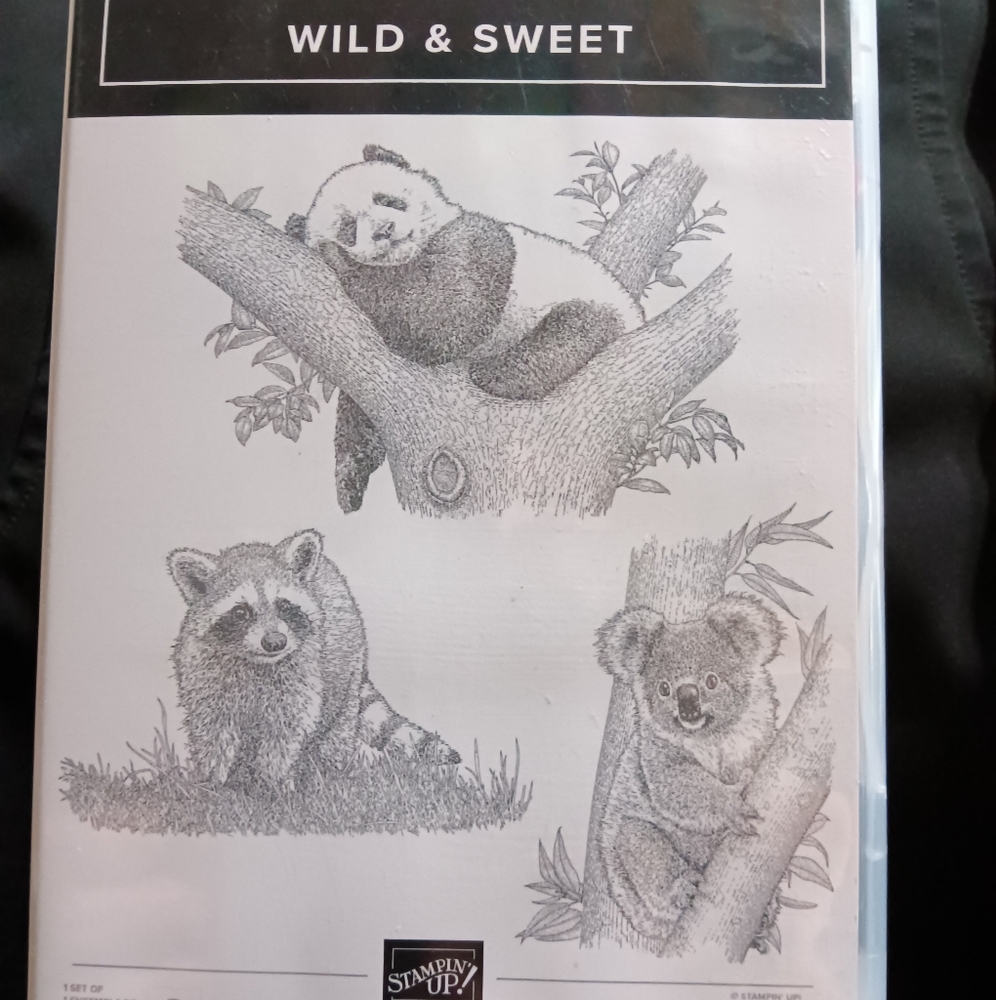 Stampin' Up! NEW Wild & Sweet Stamp Set